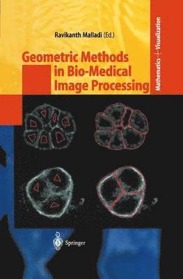 bokomslag Geometric Methods in Bio-Medical Image Processing