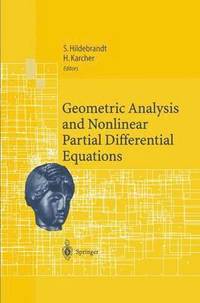 bokomslag Geometric Analysis and Nonlinear Partial Differential Equations