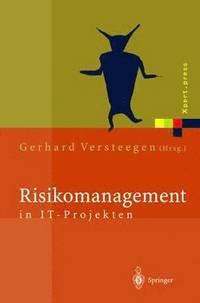 bokomslag Risikomanagement in IT-Projekten