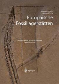 bokomslag Europische Fossillagersttten