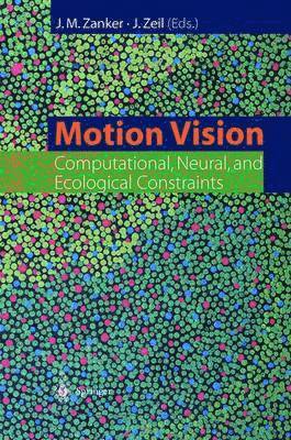 Motion Vision 1