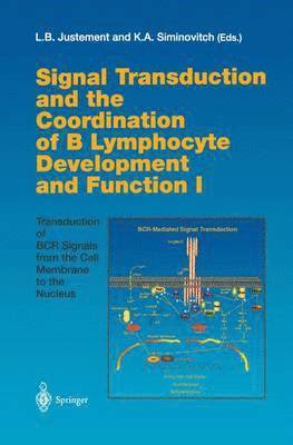 Louis B. Justement, Katherine A. Siminovitch - Signal Transduction and the Coordination of B Lymphocyte Development and Function I, Häftad