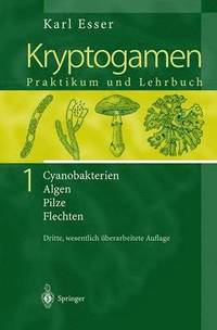 bokomslag Kryptogamen 1