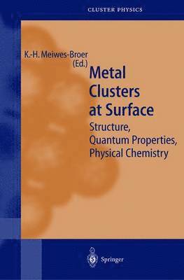 bokomslag Metal Clusters at Surfaces
