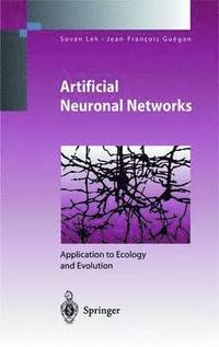 bokomslag Artificial Neuronal Networks
