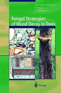 bokomslag Fungal Strategies of Wood Decay in Trees