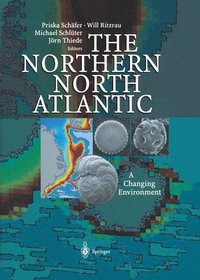 bokomslag The Northern North Atlantic