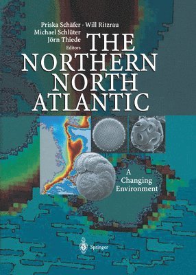 The Northern North Atlantic 1