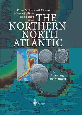 Northern North Atlantic 1