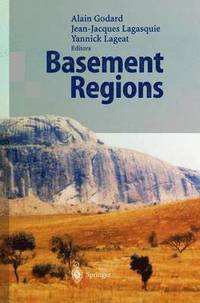 bokomslag Basement Regions