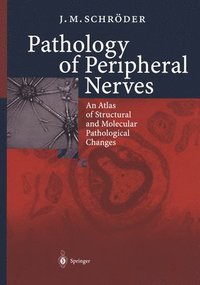 bokomslag Pathology of Peripheral Nerves