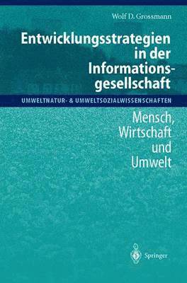 bokomslag Entwicklungsstrategien in der Informationsgesellschaft