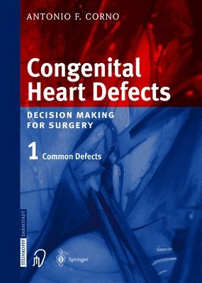 bokomslag Congenital Heart Defects