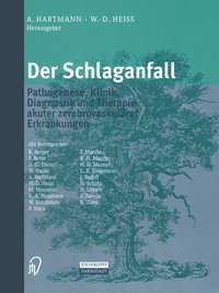 bokomslag Der Schlaganfall