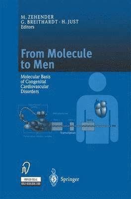 bokomslag From Molecule to Men