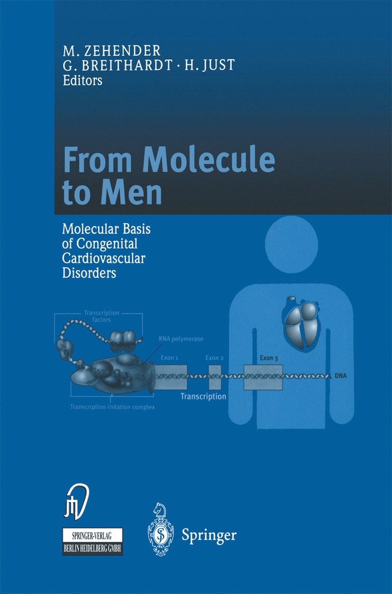 M. Zehender, G. Breithardt, H. Just, Günter Breithardt - From Molecule to Men, Häftad