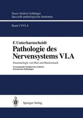 bokomslag Pathologie des Nervensystems VI.A