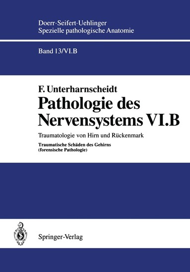 F. Unterharnscheidt - Pathologie des Nervensystems VI.B, Häftad