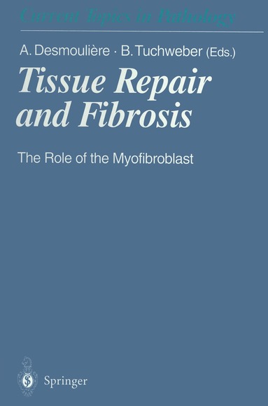 Alexis Desmouliere, Beatriz Tuchweber - Tissue Repair and Fibrosis, Häftad