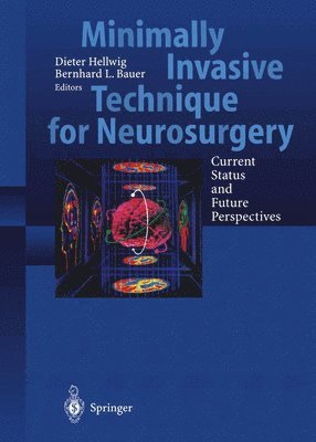 Dieter Hellwig, Bernhard L. Bauer - Minimally Invasive Techniques for Neurosurgery, Häftad