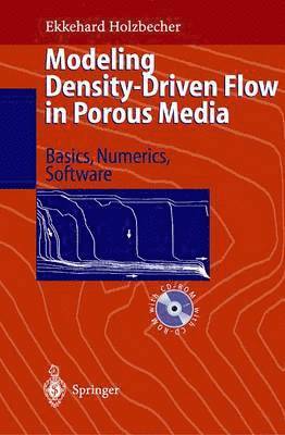 bokomslag Modeling Density-Driven Flow in Porous Media