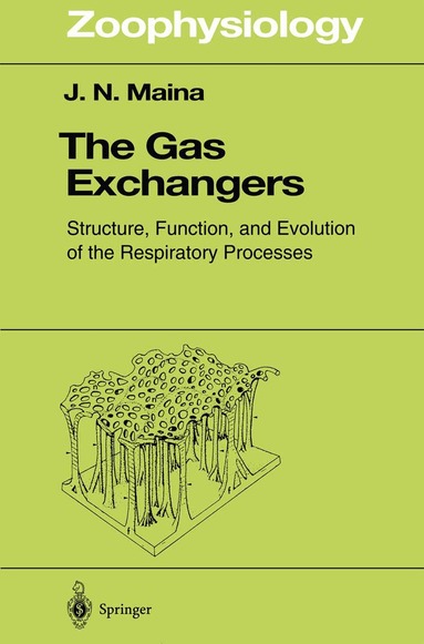 John N. Maina - Gas Exchangers, Häftad