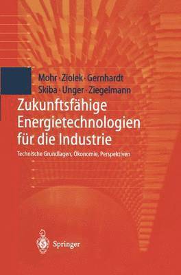 bokomslag Zukunftsfhige Energietechnologien fr die Industrie