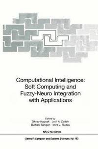 bokomslag Computational Intelligence: Soft Computing and Fuzzy-Neuro Integration with Applications