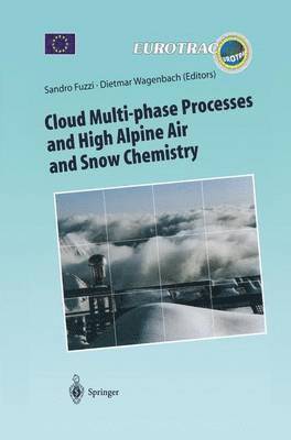 Cloud Multi-phase Processes and High Alpine Air and Snow Chemistry 1