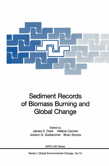James S. Clark, Helene Cachier, Johann G. Goldammer, Brian J. Stocks - Sediment Records of Biomass Burning and Global Change, Häftad