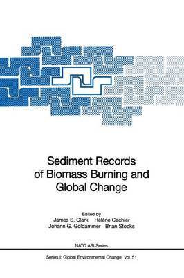 bokomslag Sediment Records of Biomass Burning and Global Change