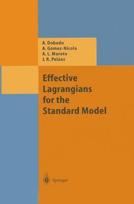 bokomslag Effective Lagrangians for the Standard Model