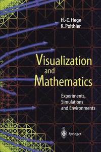 bokomslag Visualization and Mathematics