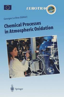 bokomslag Chemical Processes in Atmospheric Oxidation