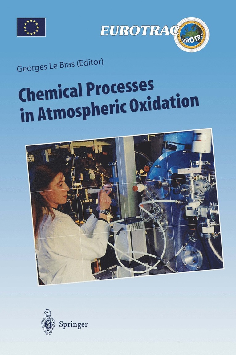 Georges Le Bras - Chemical Processes in Atmospheric Oxidation, Häftad