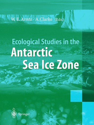 bokomslag Ecological Studies in the Antarctic Sea Ice Zone