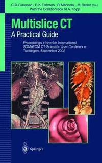 bokomslag Multislice CT: A Practical Guide