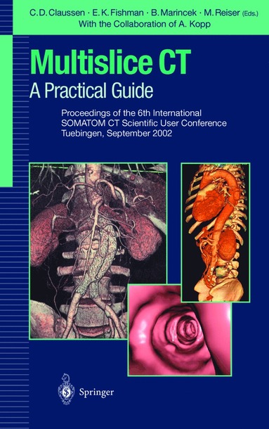 bokomslag Multislice CT: A Practical Guide