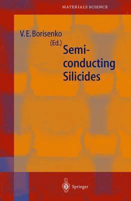 Victor E. Borisenko, Victor Borisenko - Semiconducting Silicides, Häftad