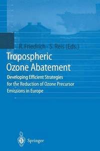 bokomslag Tropospheric Ozone Abatement