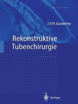 bokomslag Rekonstruktive Tubenchirurgie