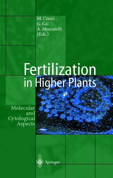 Mauro Cresti, Giampiero Cai, Alessandra Moscatelli - Fertilization in Higher Plants, Häftad