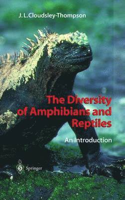 bokomslag Diversity of Amphibians and Reptiles