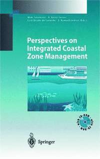 bokomslag Perspectives on Integrated Coastal Zone Management