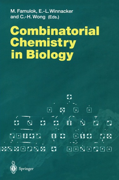 Michael Famulok, Ernst-L. Winnacker, Chi-Huey Wong - Combinatorial Chemistry in Biology, Häftad