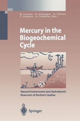bokomslag Mercury in the Biogeochemical Cycle