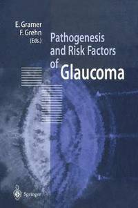 bokomslag Pathogenesis and Risk Factors of Glaucoma