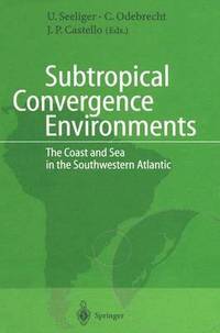 bokomslag Subtropical Convergence Environments
