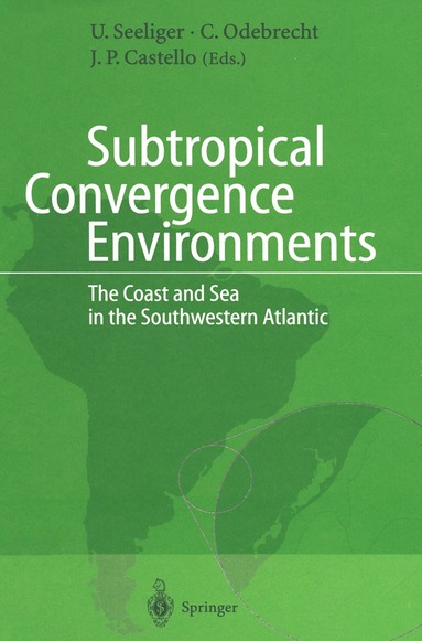 bokomslag Subtropical Convergence Environments