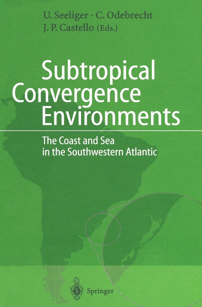 Ulrich Seeliger, Clarisse Odebrecht, Jorge P. Castello - Subtropical Convergence Environments, Häftad